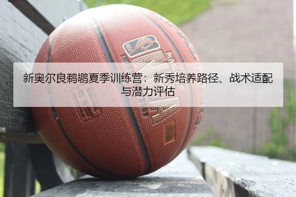 新奥尔良鹈鹕夏季训练营：新秀培养路径、战术适配与潜力评估